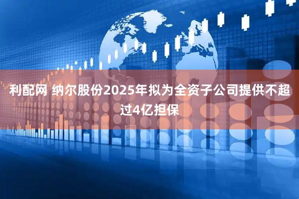 利配网 纳尔股份2025年拟为全资子公司提供不超过4亿担保