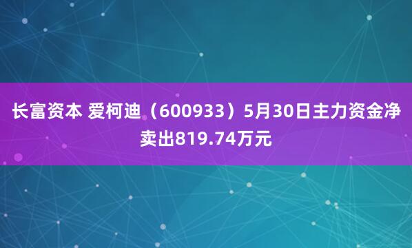 长富资本 爱柯迪（600933）5月30日主力资金净卖出819.74万元