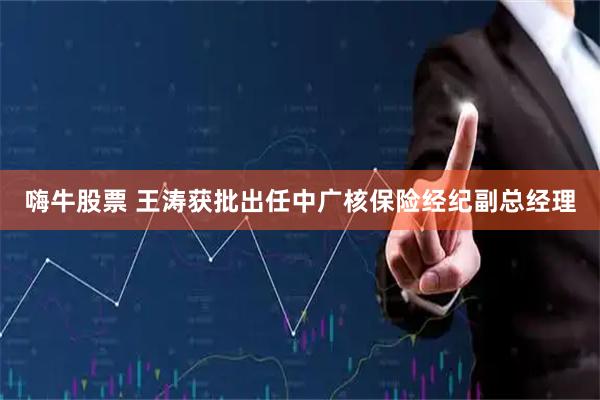嗨牛股票 王涛获批出任中广核保险经纪副总经理