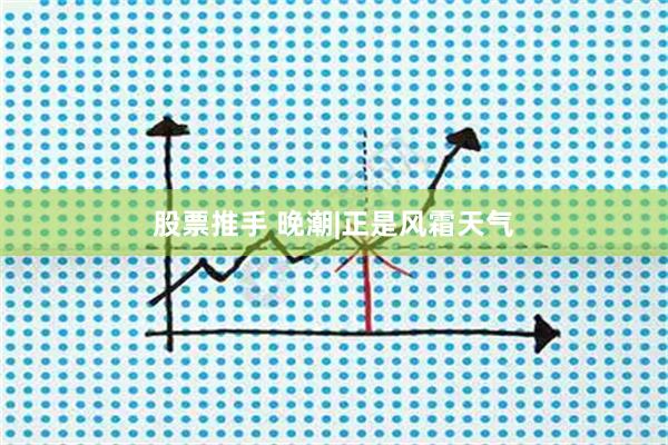 股票推手 晚潮|正是风霜天气