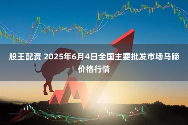 股王配资 2025年6月4日全国主要批发市场马蹄价格行情