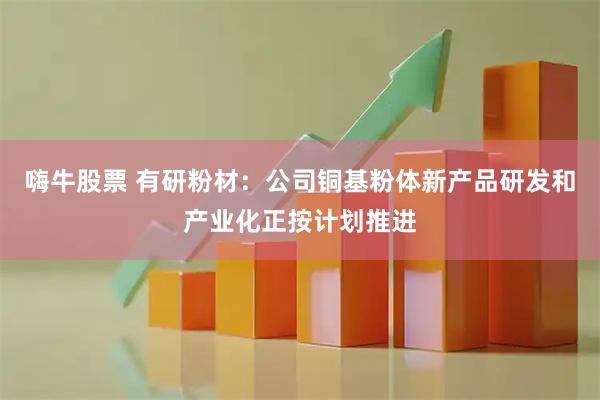 嗨牛股票 有研粉材：公司铜基粉体新产品研发和产业化正按计划推进